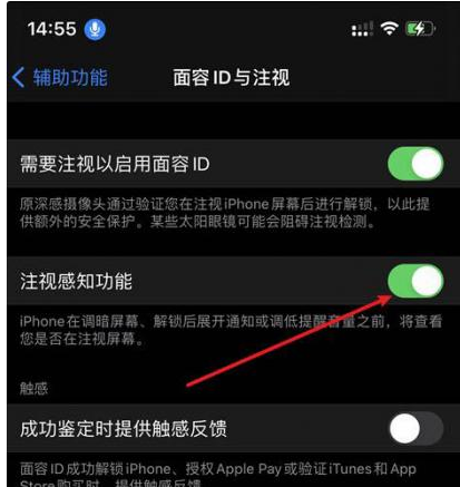 淮南苹果14维修网点分享iPhone14注视感知功能有什么用 